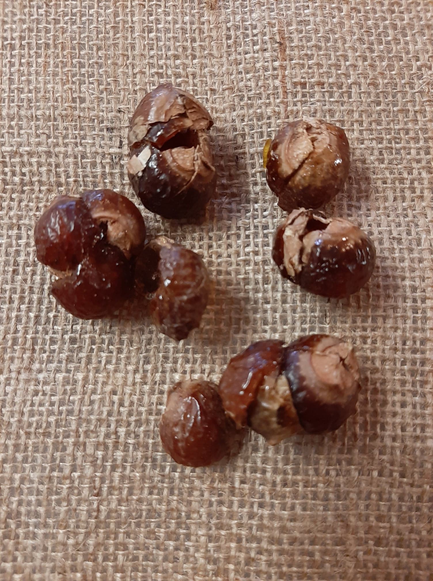 Laundry Soap Nuts 1Kg or 500g bags