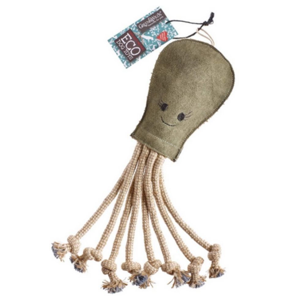 daisys dog empawrium