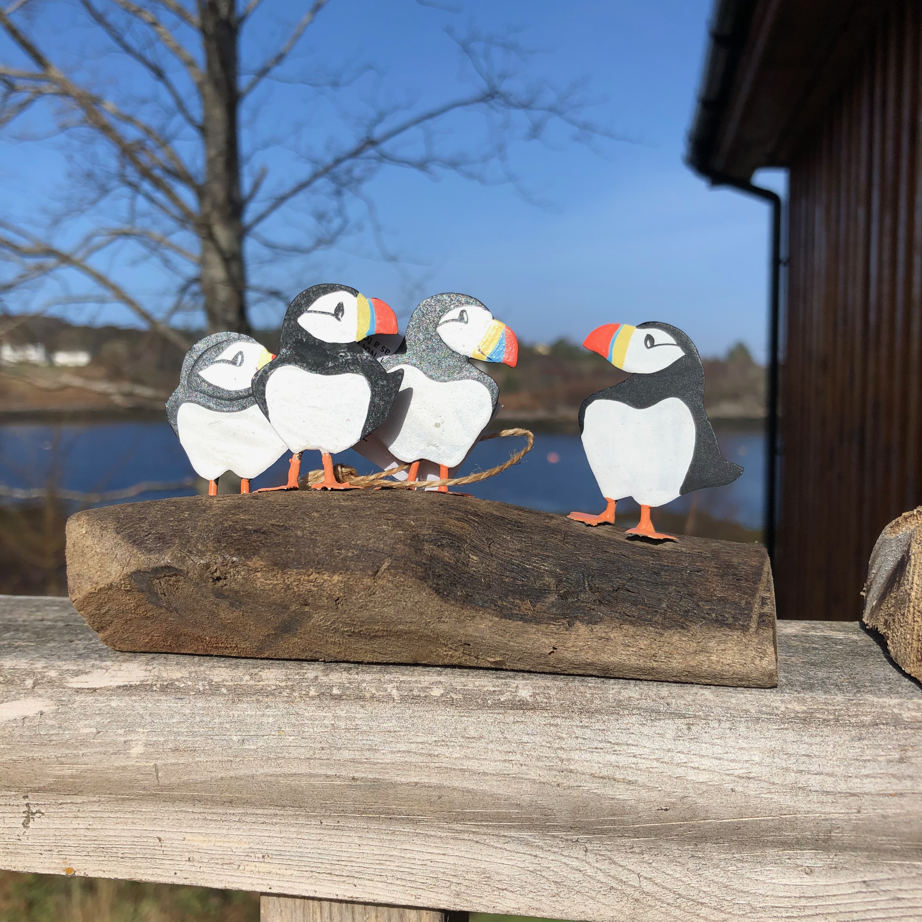 Circus of 4 Puffins on Driftwood