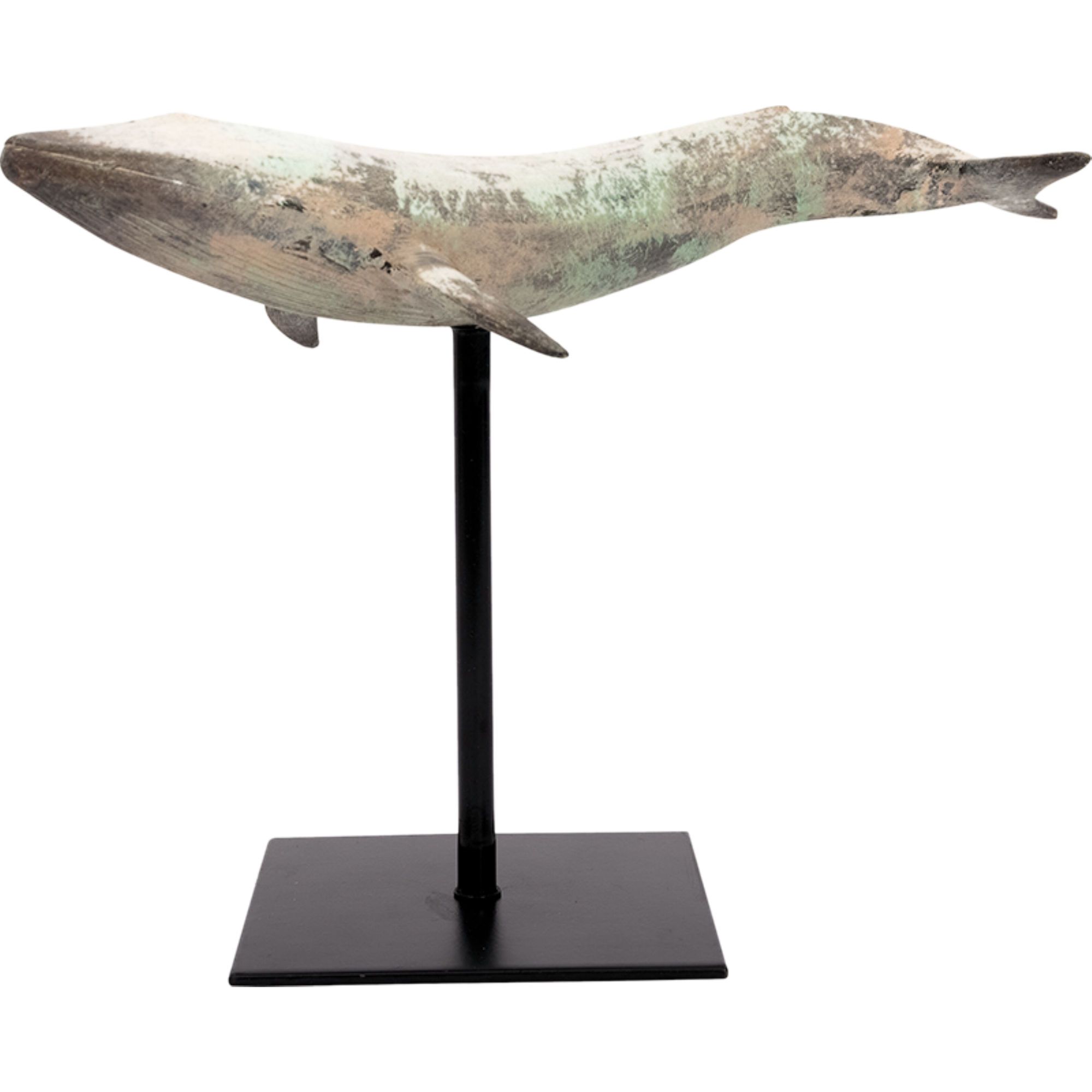 Sperm Whale on a Stand