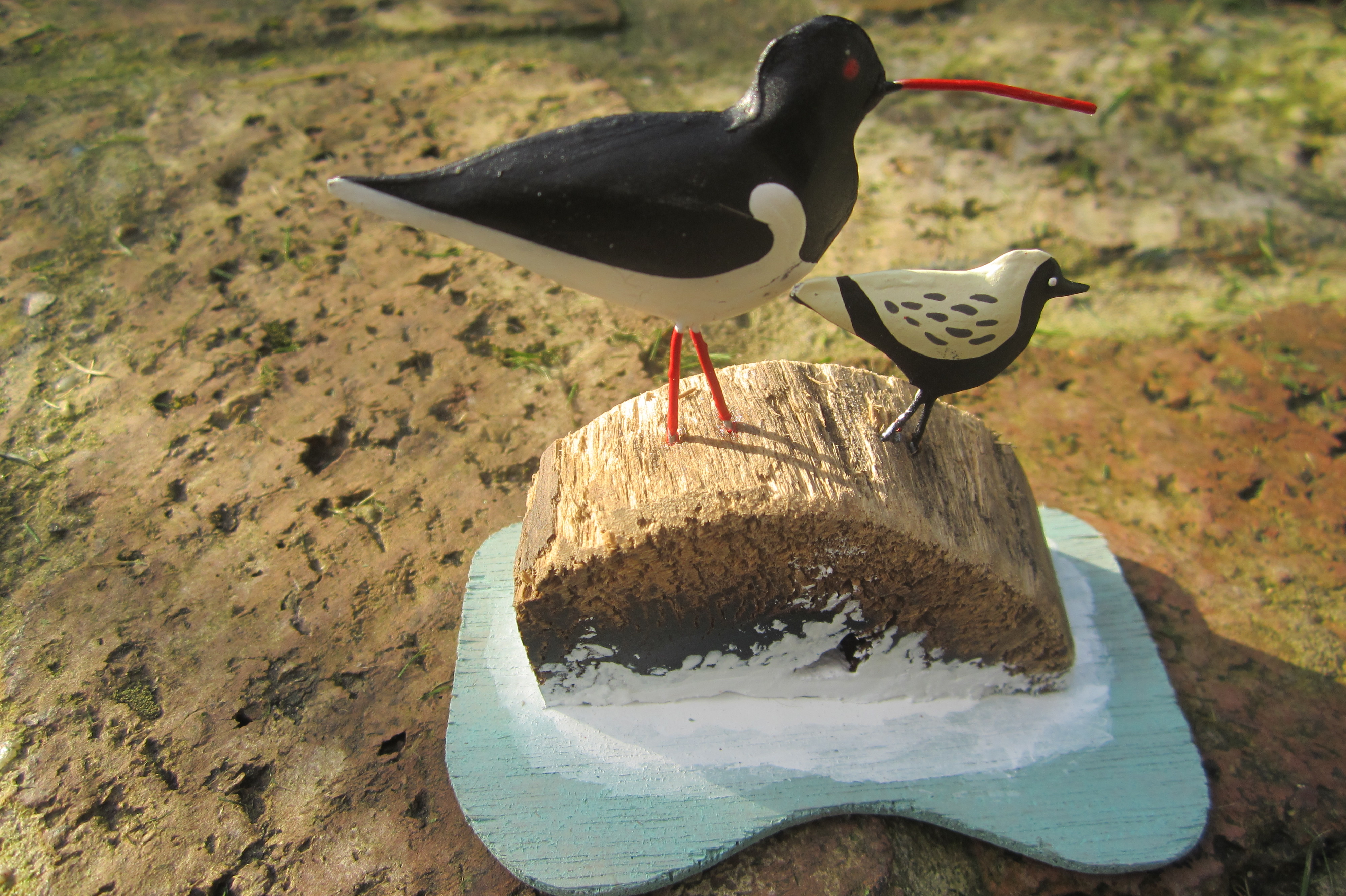 Seashore Birds on Driftwood