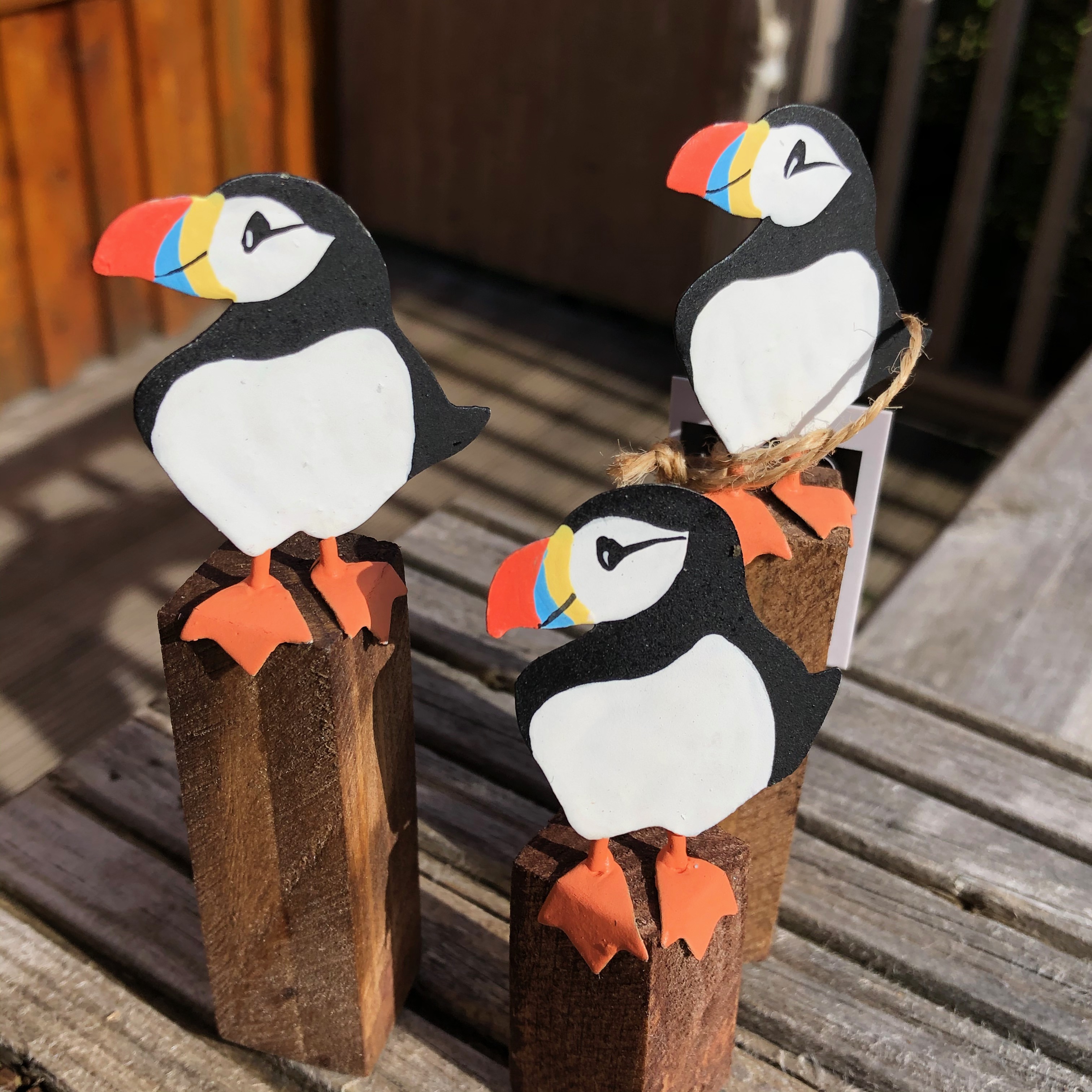 Mixed Puffins on Driftwood