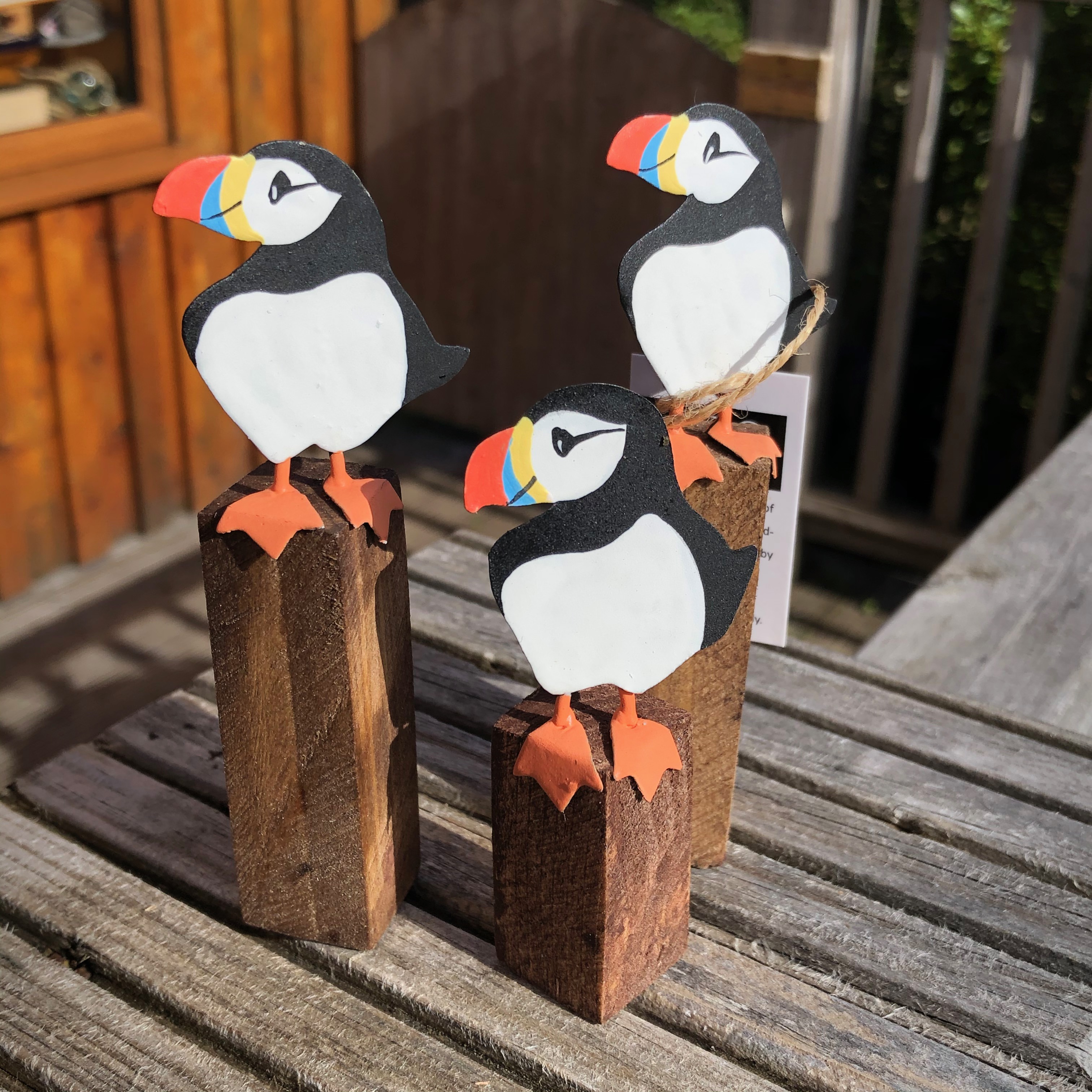 Mixed Puffins on Driftwood
