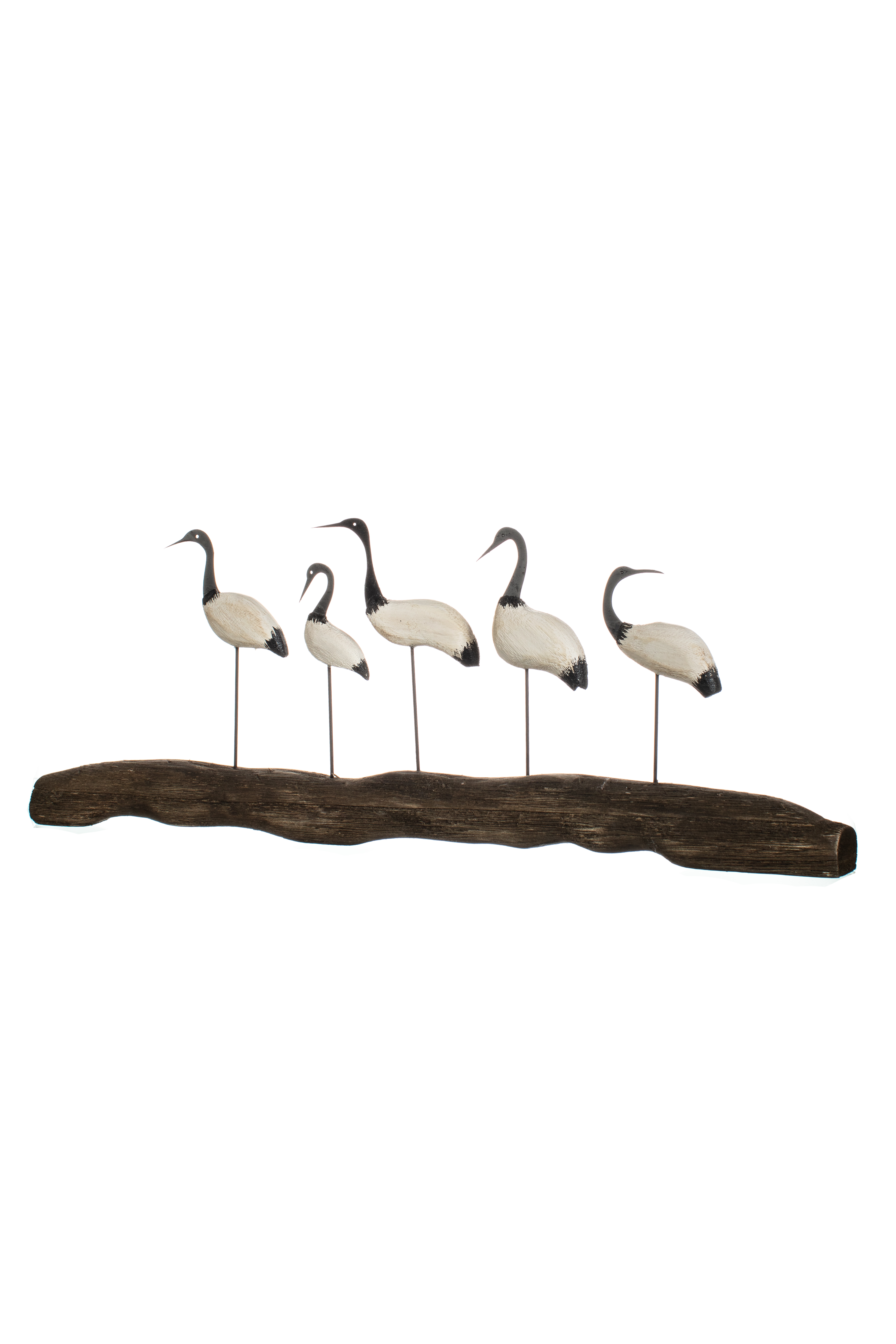 Five Shore Birds on Driftwood