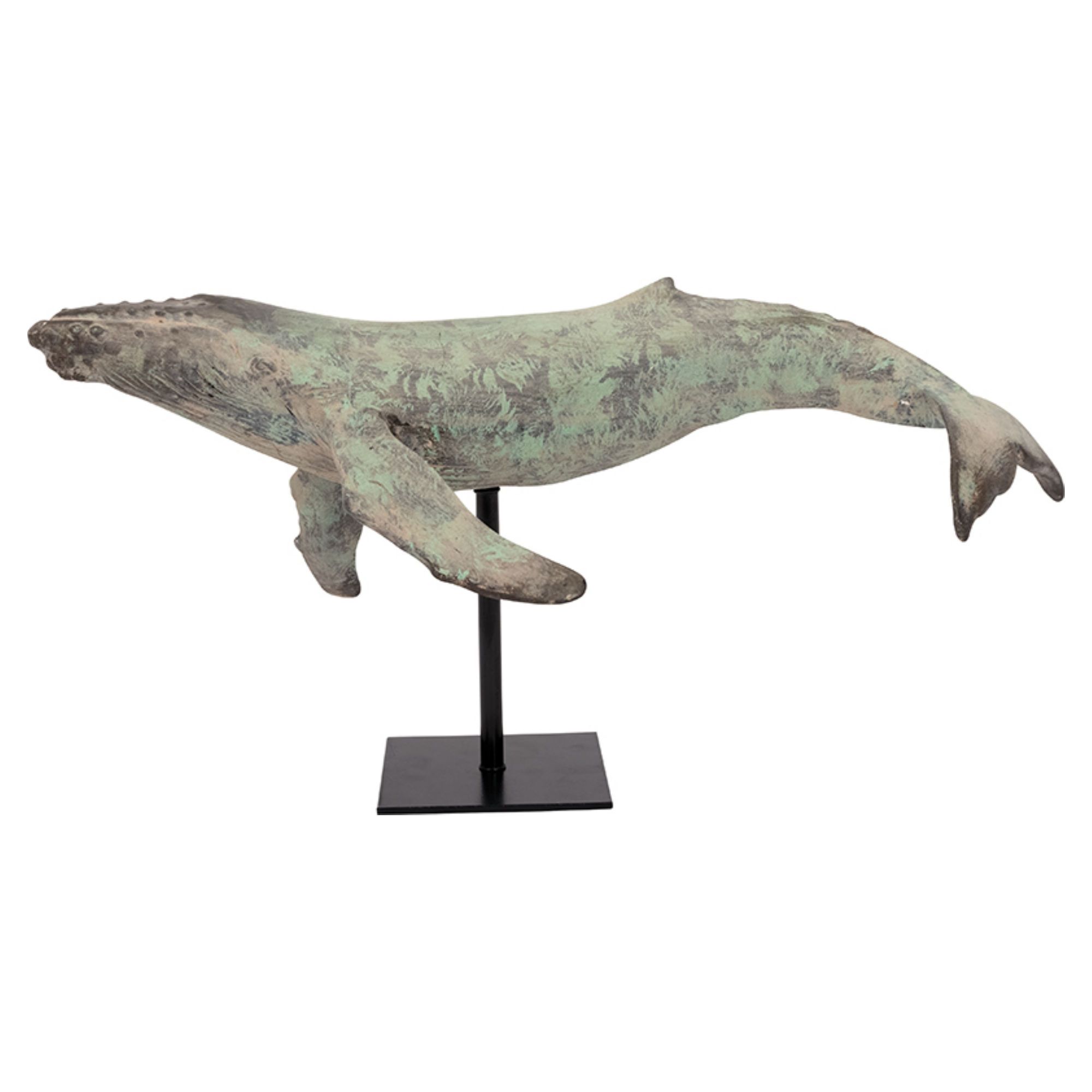 Whale on a Display Stand