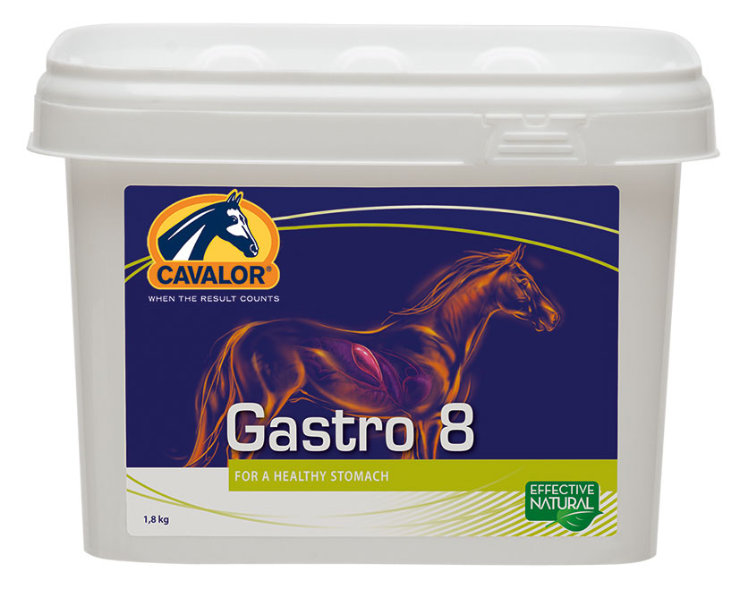 Gastro 8 (aid)