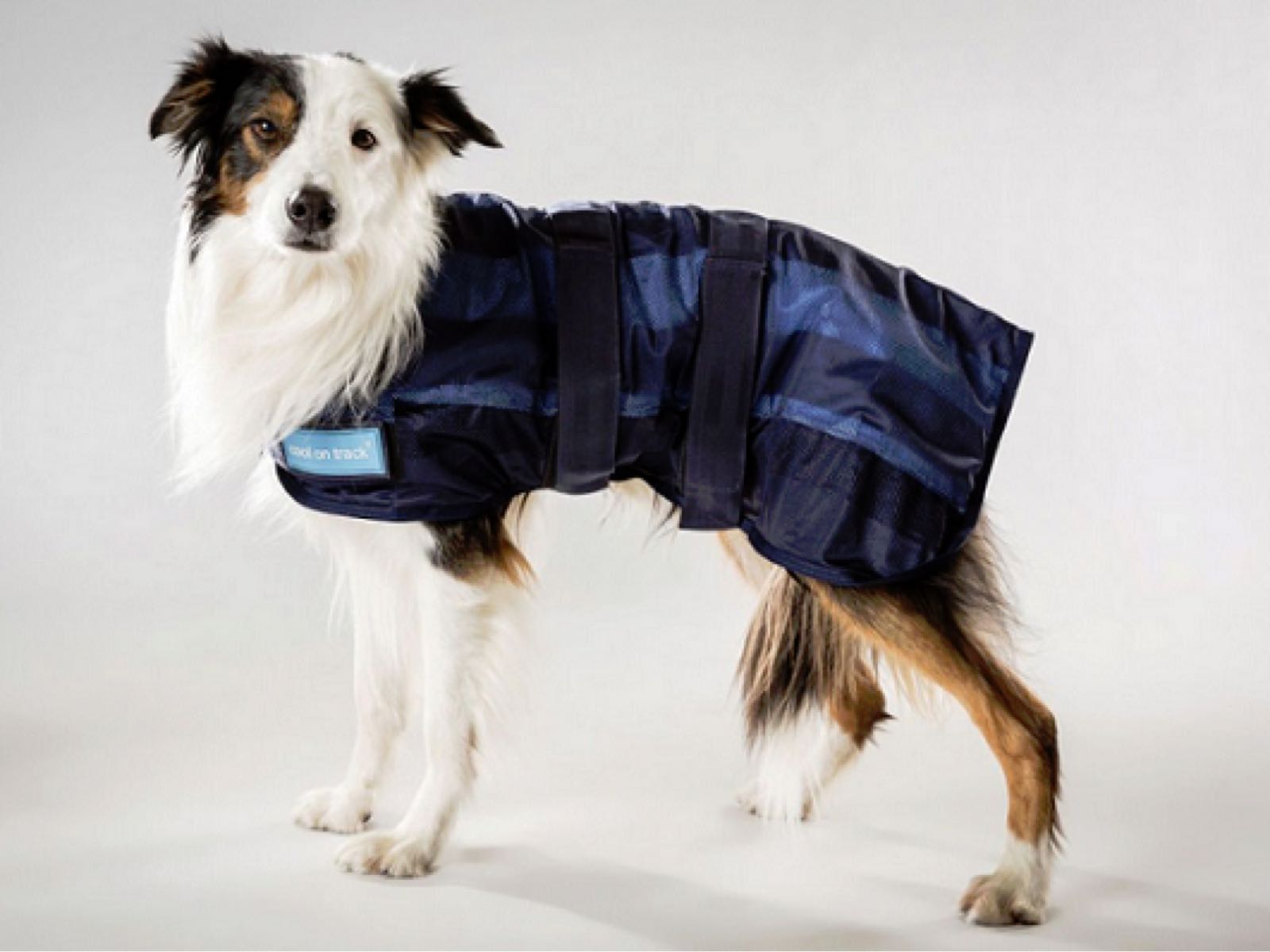 Cool on Track Canine Cooling Coat