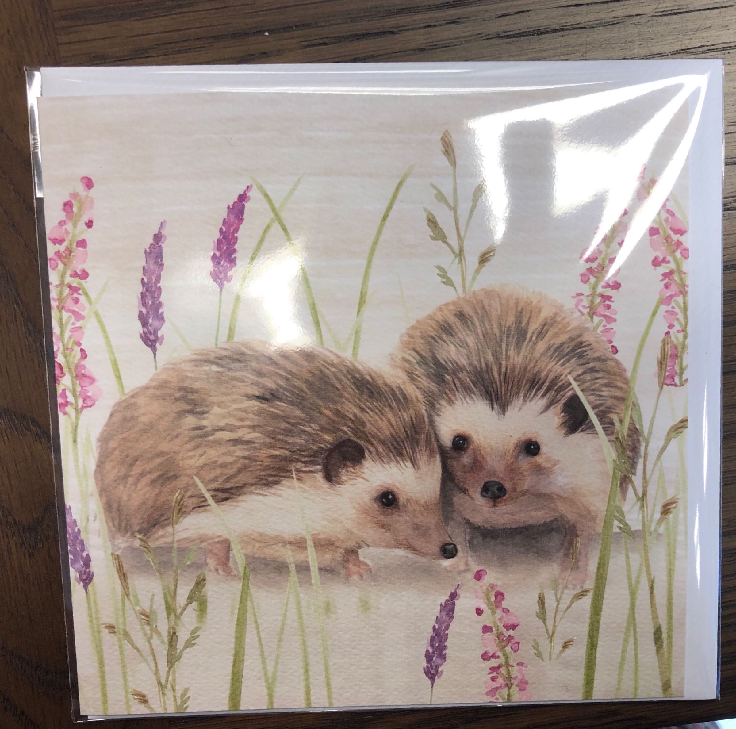 Hedgehog card