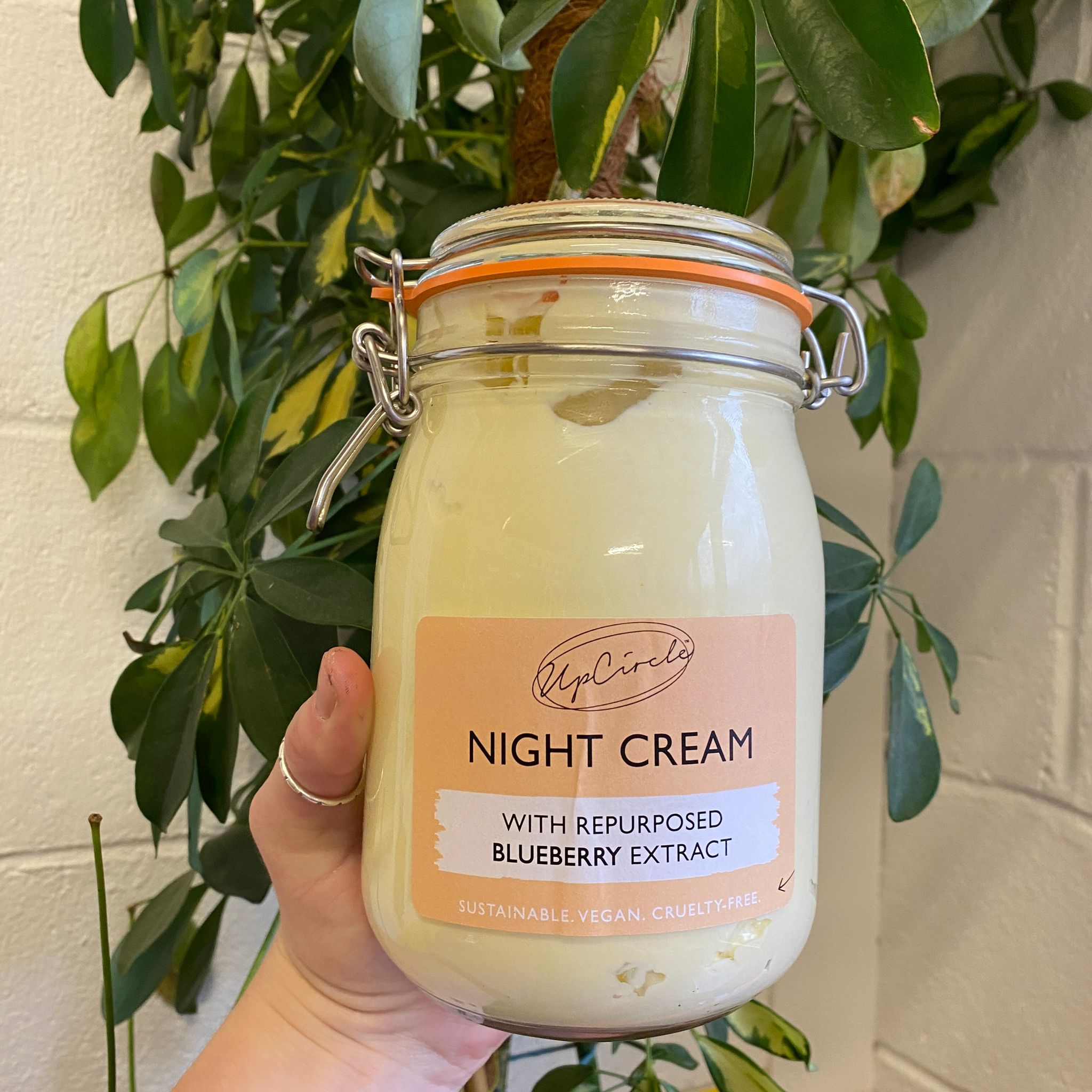 Night Cream | UpCircle 