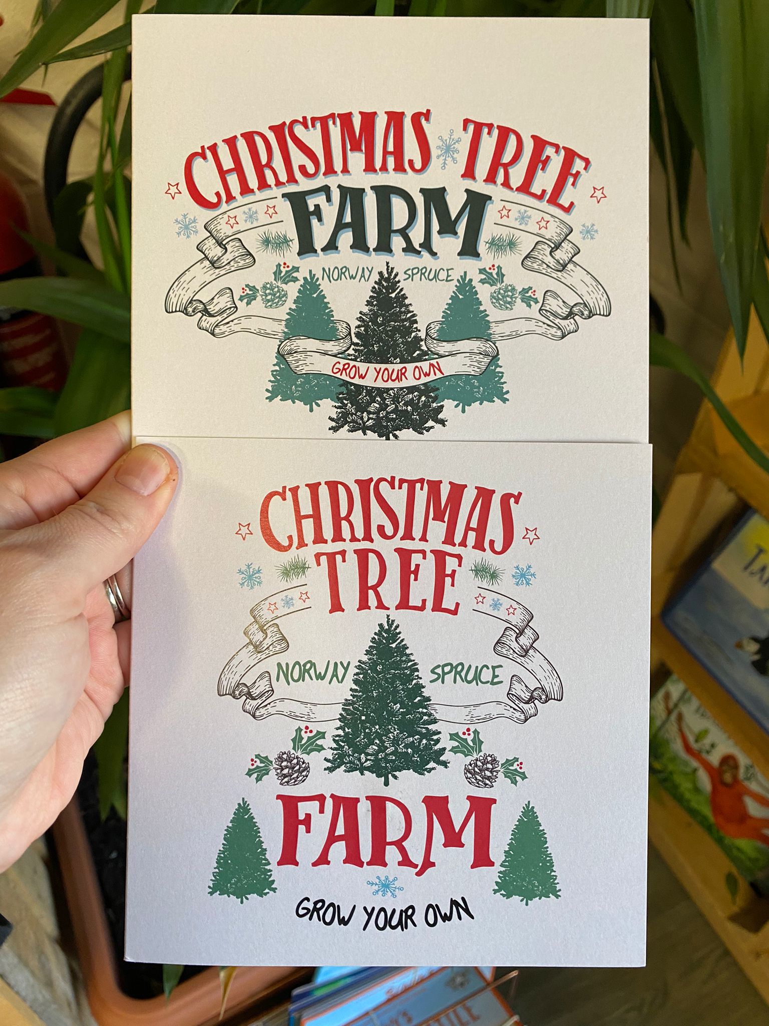 'Grow Your Own Christmas Tree' Seed Card
