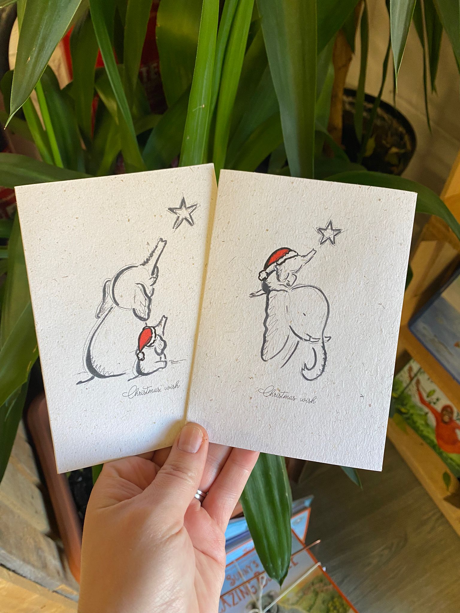 'Christmas Wish' Elephant Dung Cards