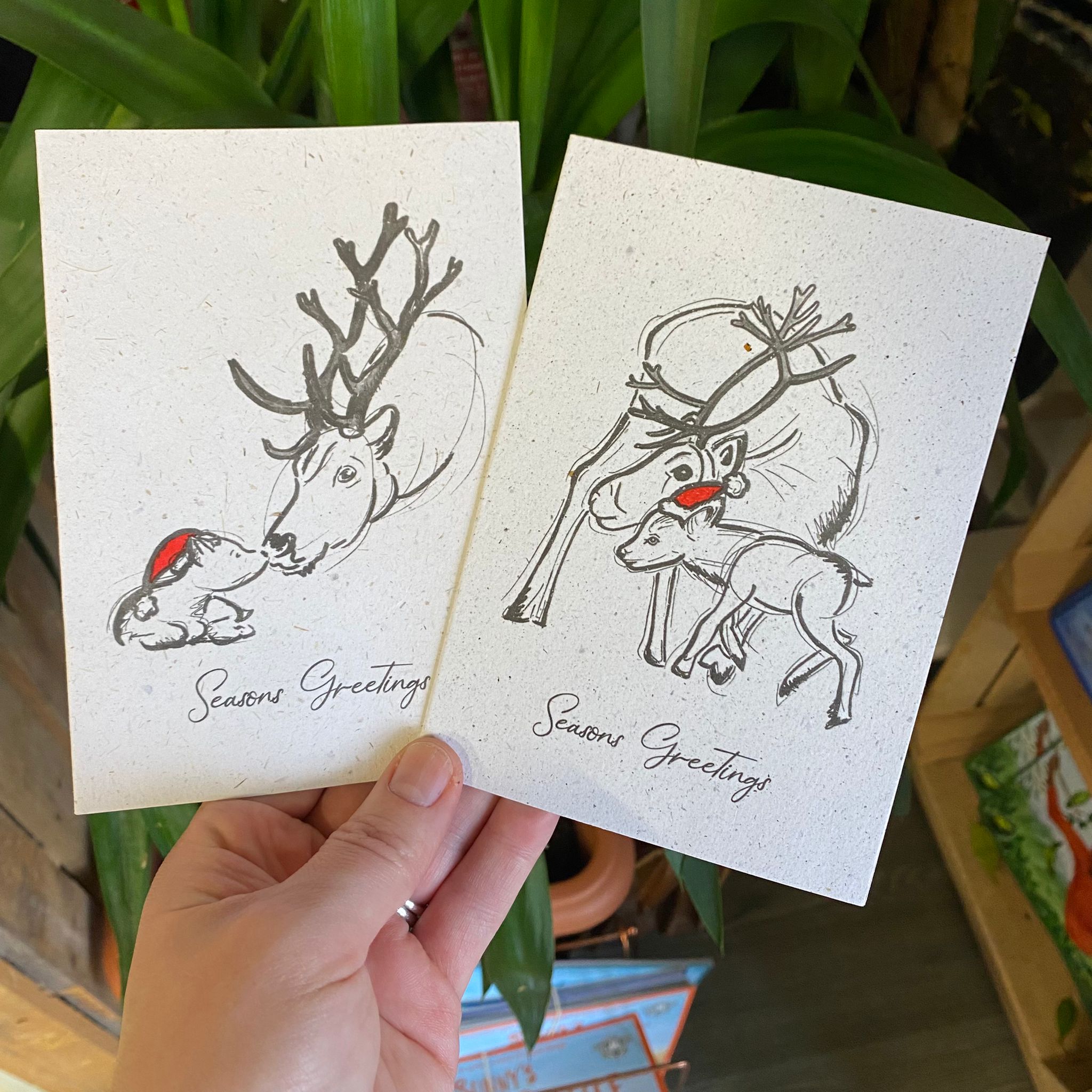 'Season's Greetings' Reindeer Dung Cards