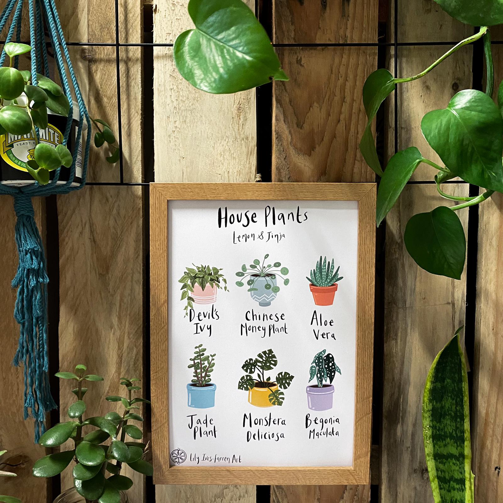 House Plants Poster | Lily Ives-Farren Art