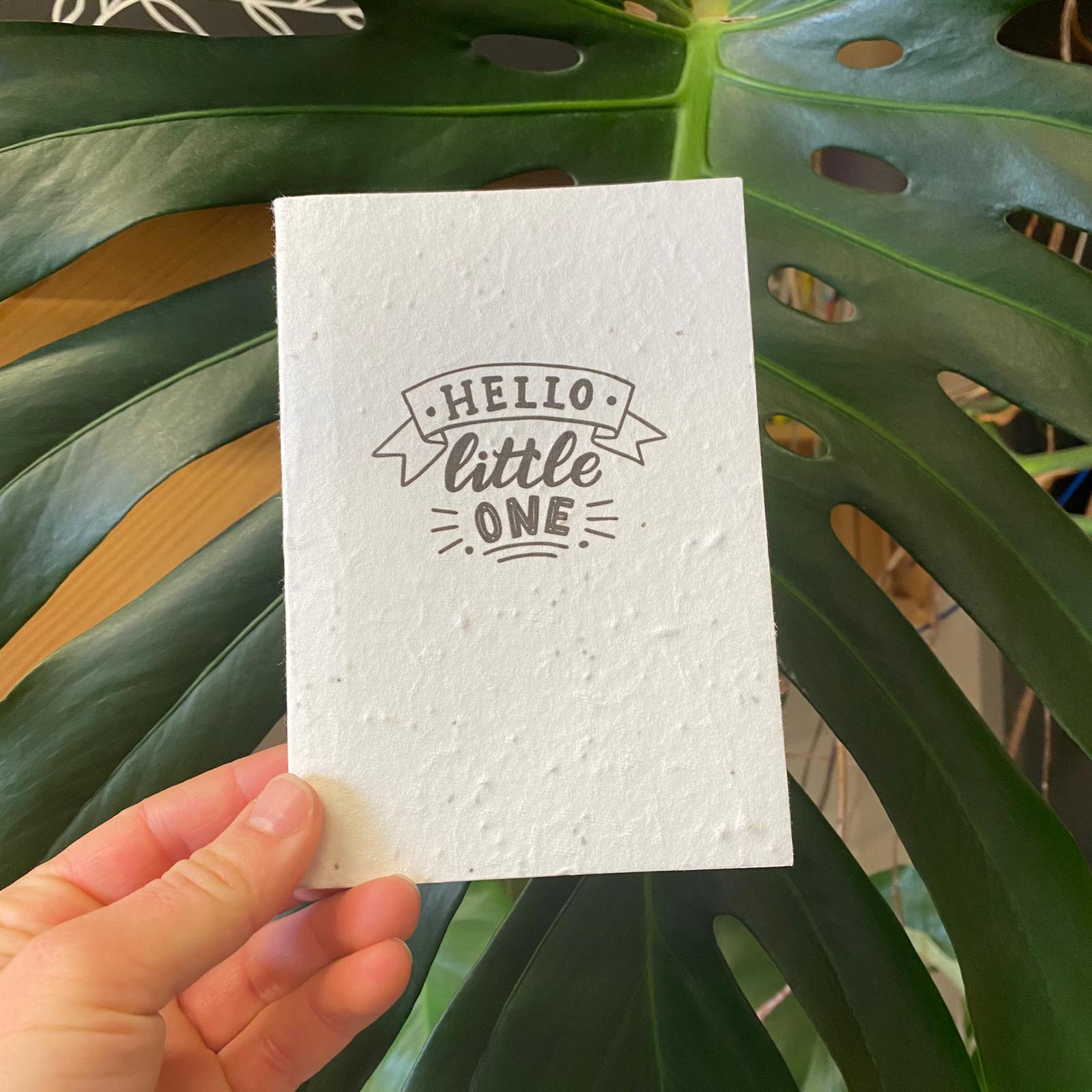 'Hello Little One' Seed Card 