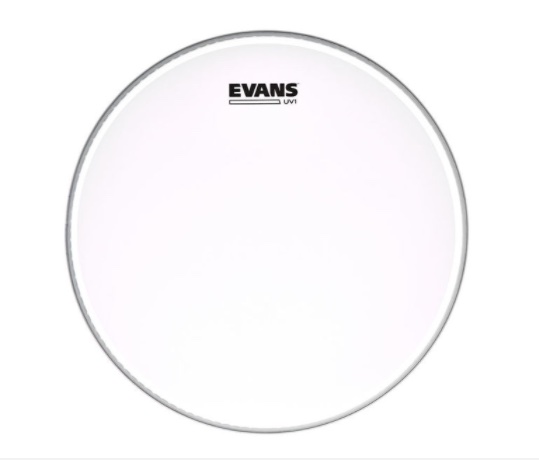 Evans 14" UV1