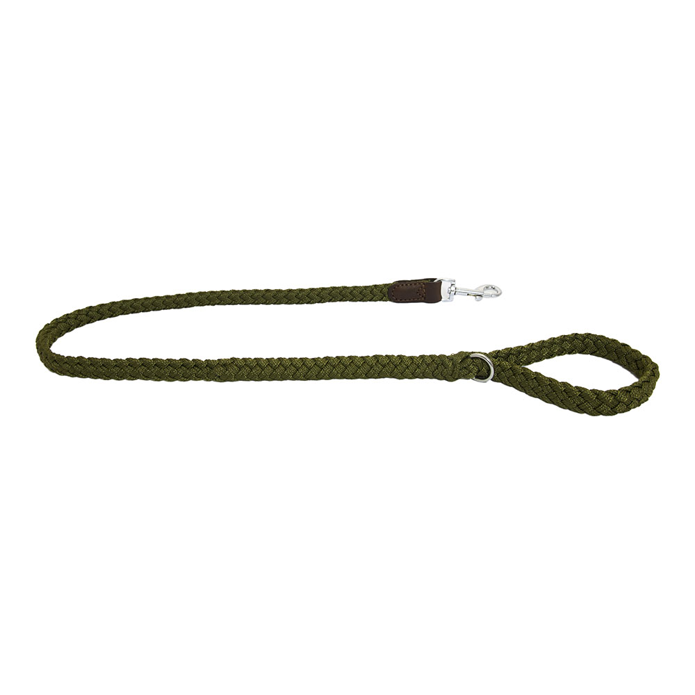 Earthbound Braided Nylon/Leather Leads