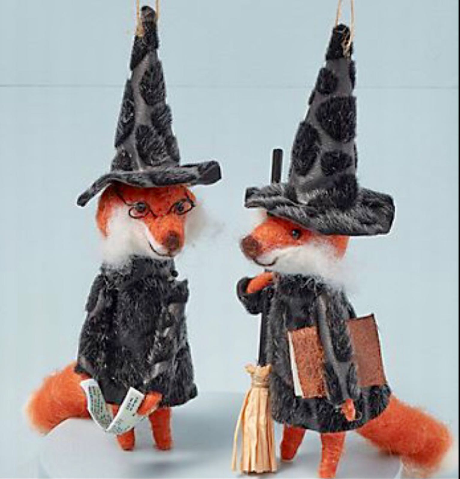 Halloween Fox Witch