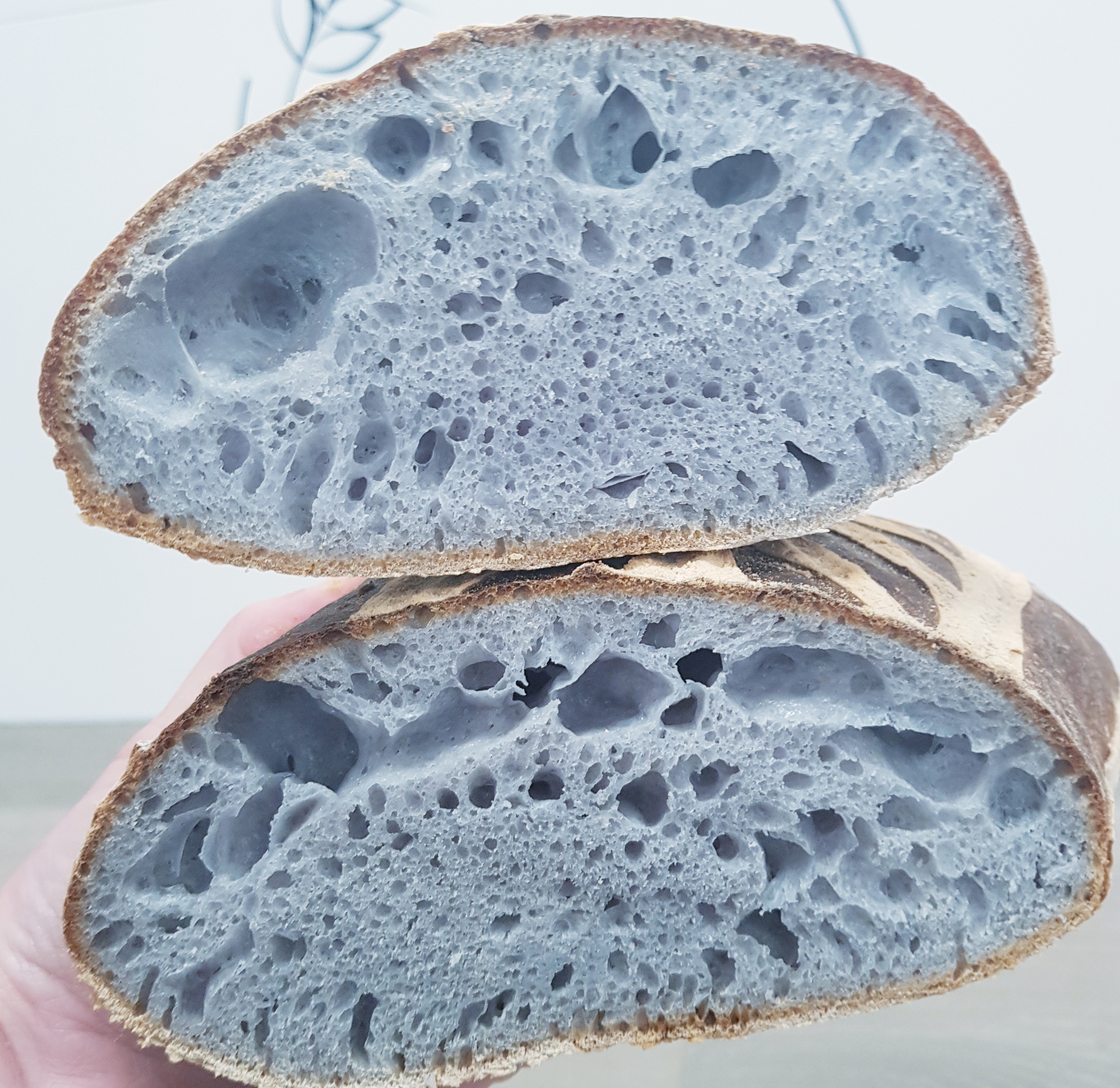 Butterfly Pea 100 Sourdough Bread Vera Artisan Bakery