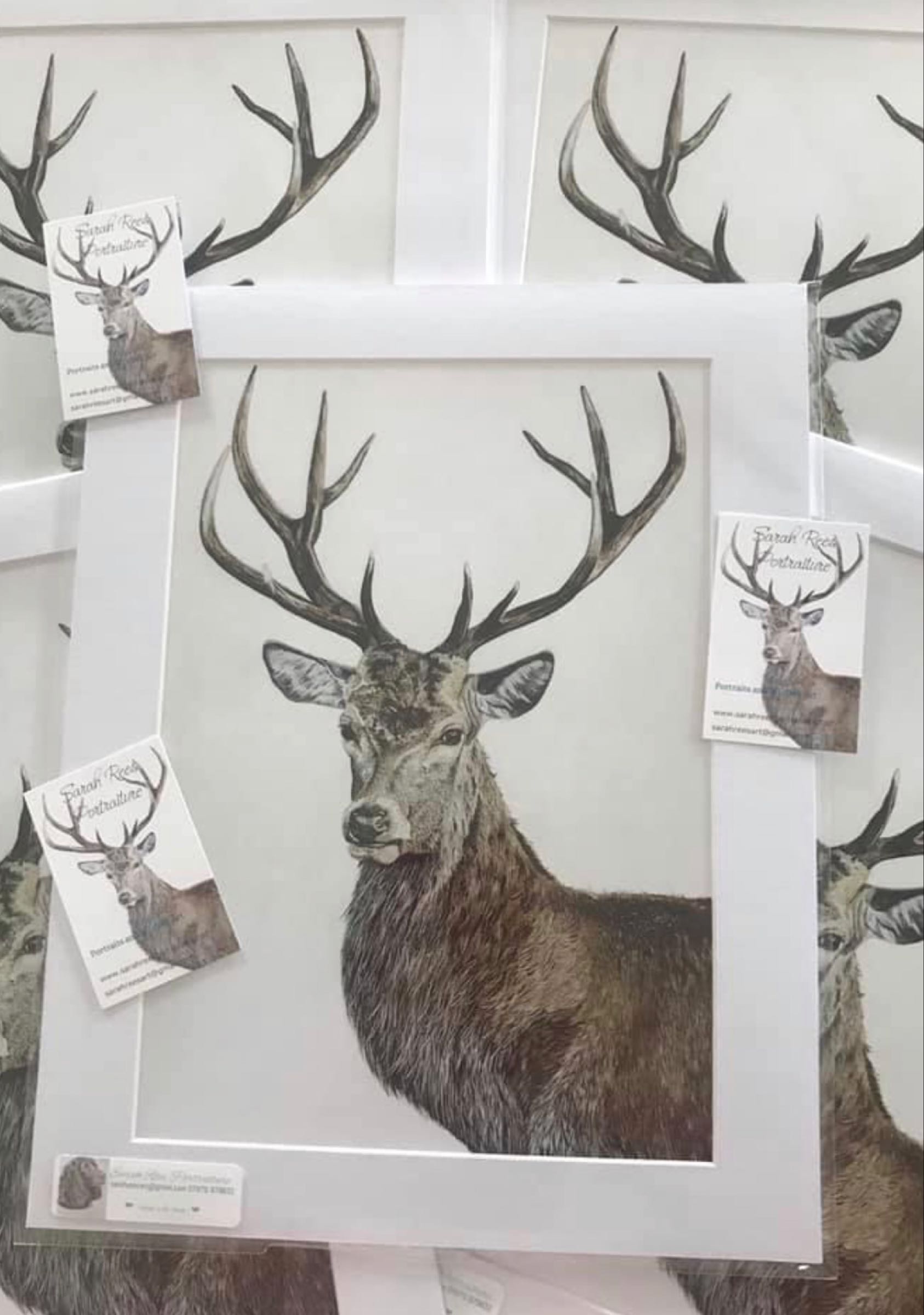 Stag print 