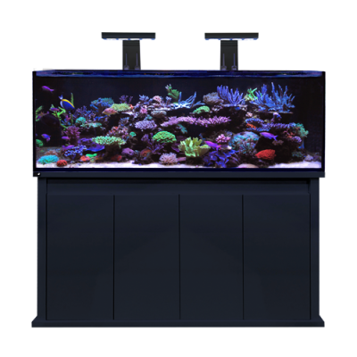 D-D Reef-Pro 1500S High Gloss Black