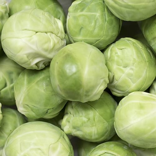 Brussel Sprouts (Organic, UK)