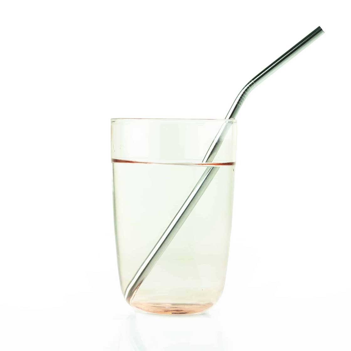 Straw, Stainless Steel (Angled)