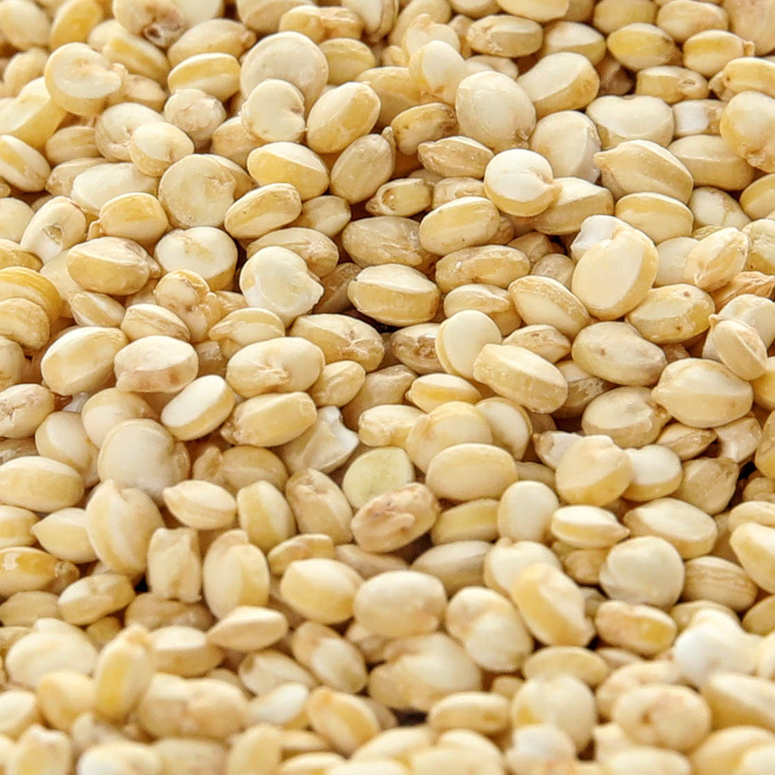 Quinoa (UK)