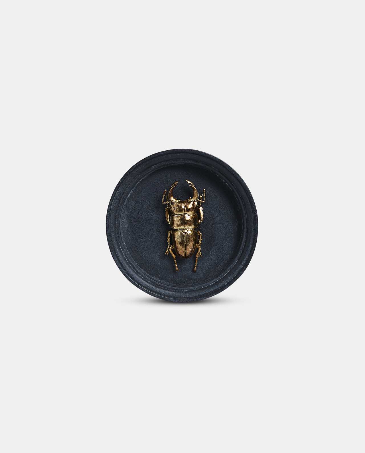 Beetle Plaque No8