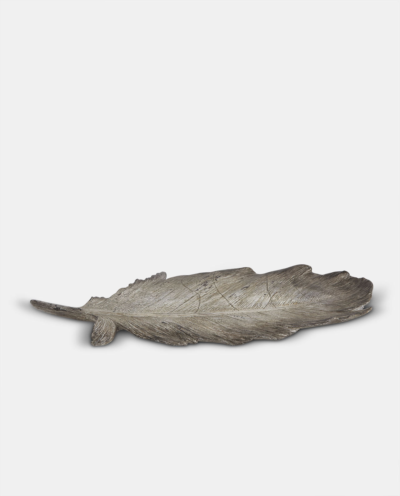 Medium Grey Decorative Feather