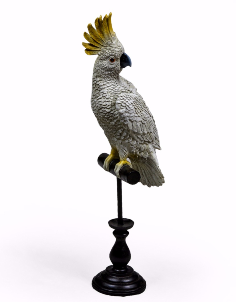 White Cockatoo on Perch