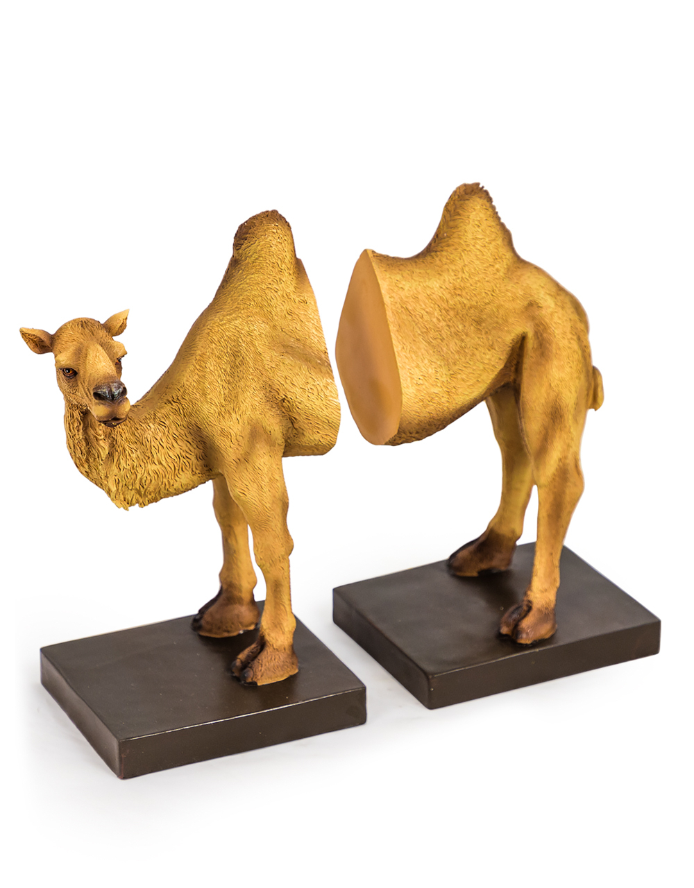 Camel Bookends 