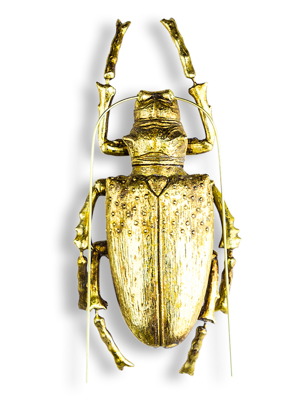 Gold Large Beetle with Antenna