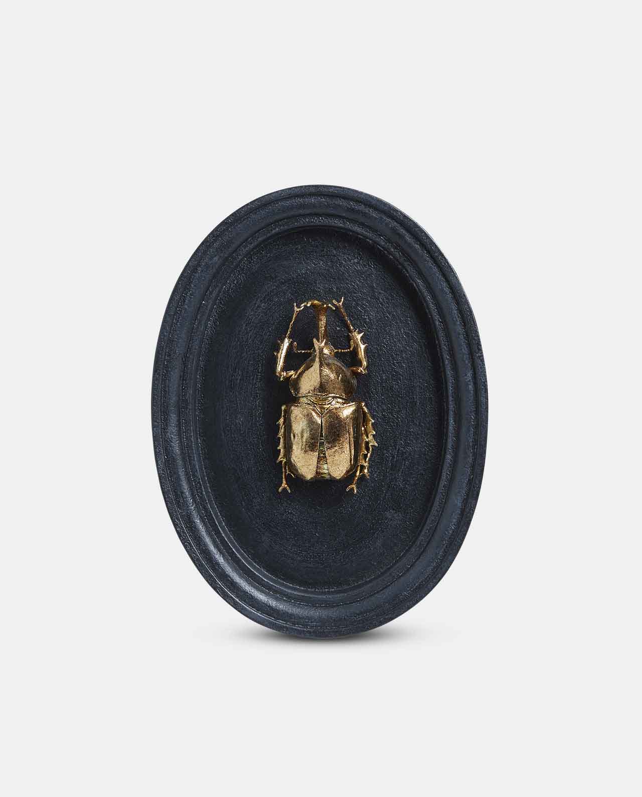 Beetle Plaque No7