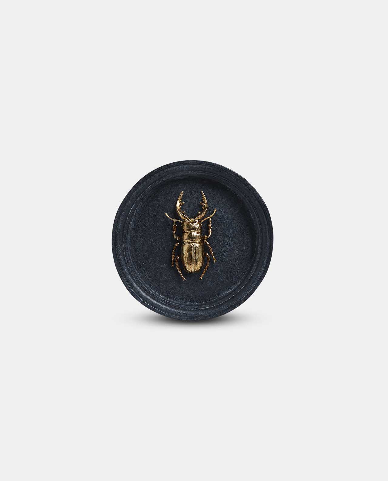 Beetle Plaque no6