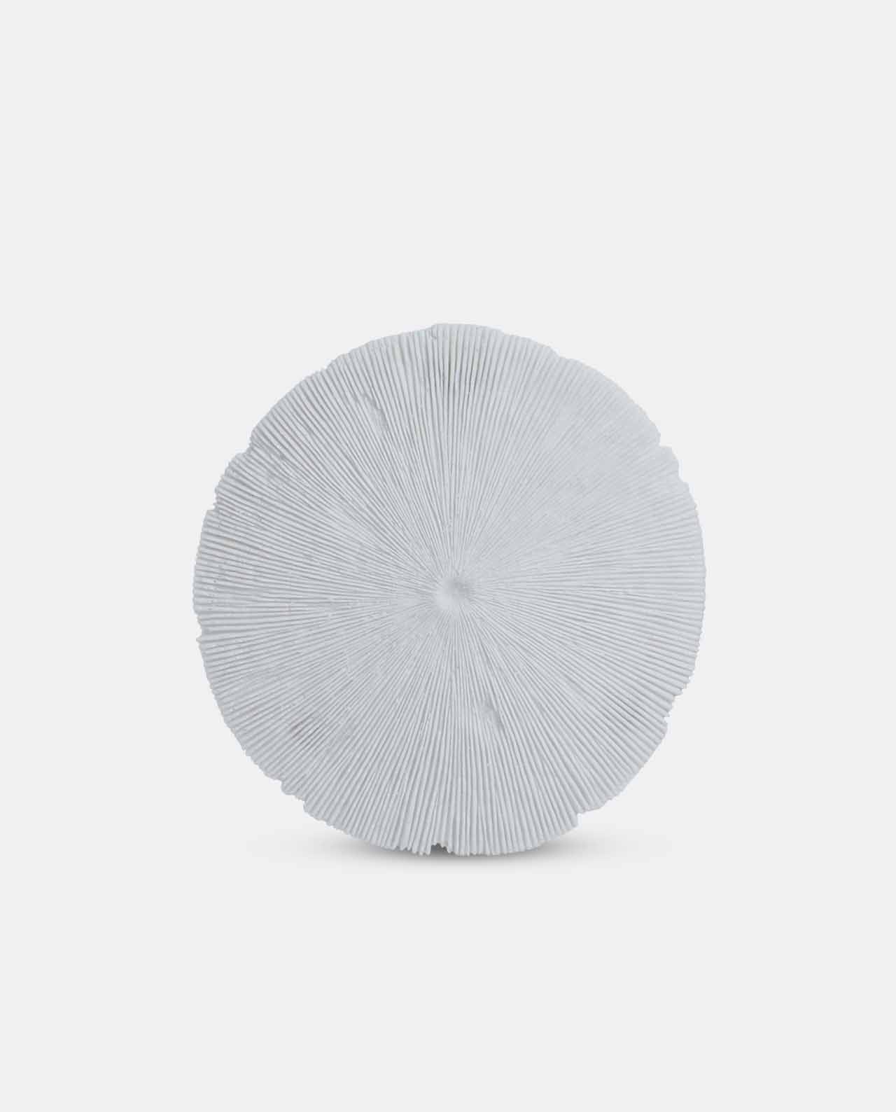 Small White Round Ribbed Coral Wall Décor 