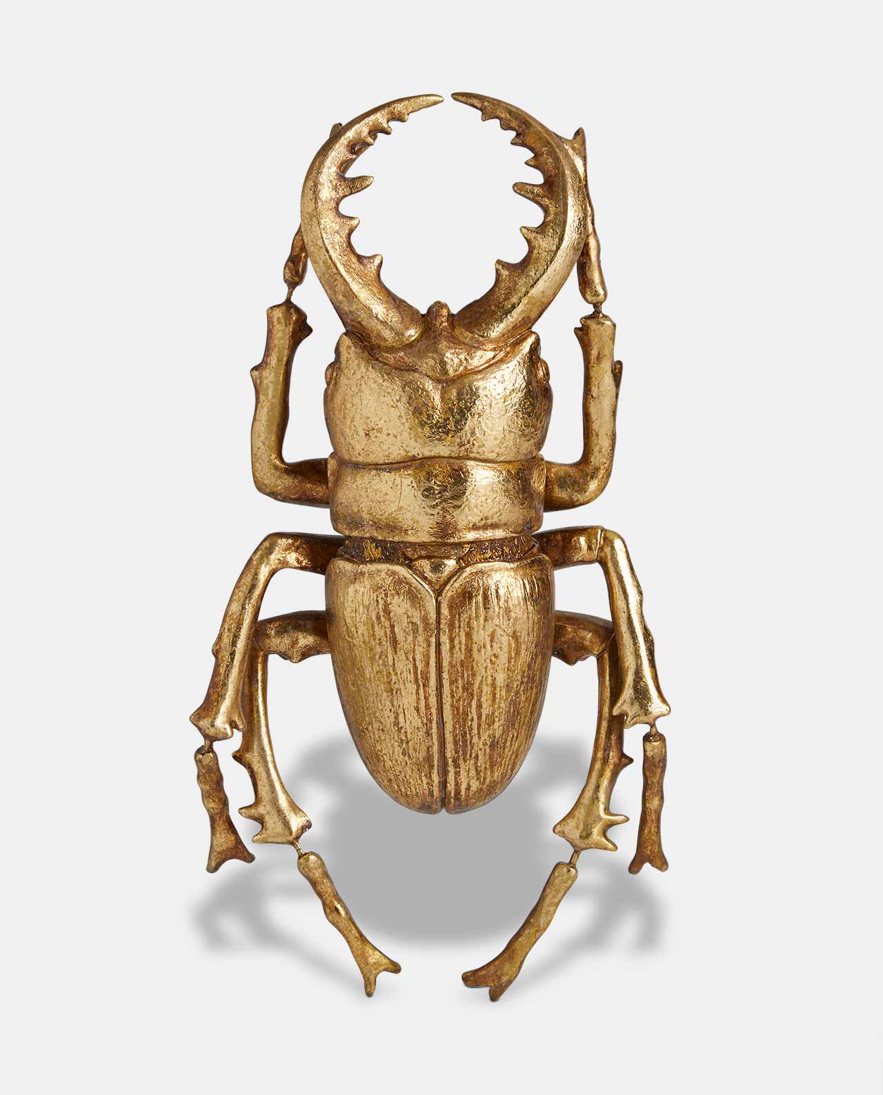 Large Gold Stag Beetle